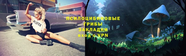 гашик Надым