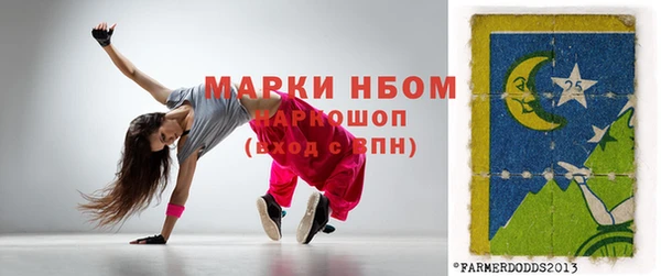 гашик Надым