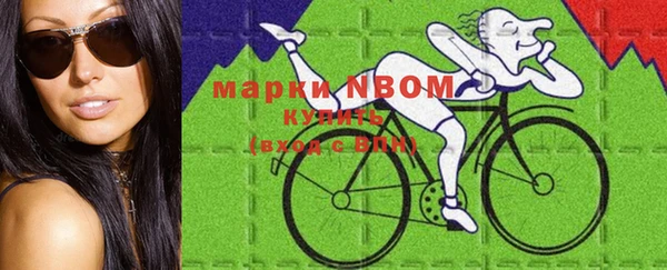 гашик Надым