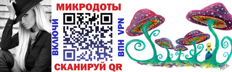 Галлюциногенные грибы Psilocybe  Харовск 